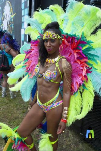  DSC0212