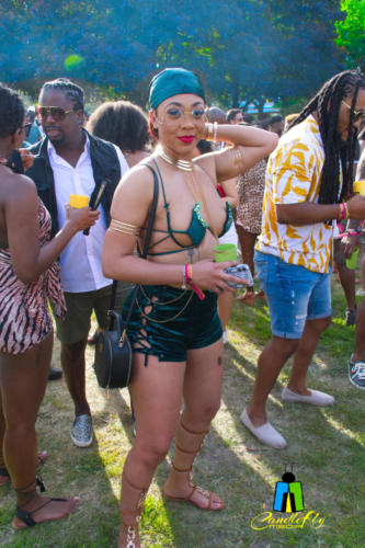 Soca Brainwash "The Safari"