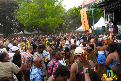 Soca Brainwash "The Safari"