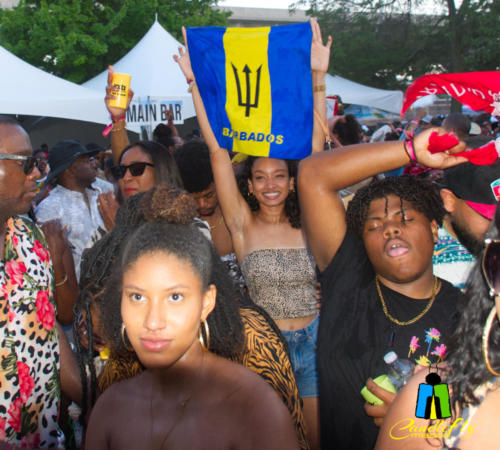 Soca Brainwash "The Safari"