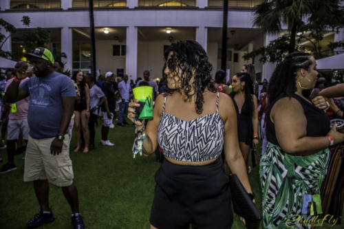 Candlefly Media @ Vale Vibes