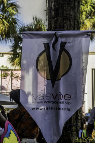 Candlefly Media @ Vale Vibes